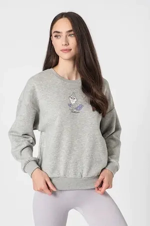 Худые ONLDISNEY LIFE L/S BAMBI BOX SWT 15250089-Light Grey Melange-Print:THUMPER ONLY S Серый 15250089-Light Grey Melan фото 2 — интернет-магазин Tapok