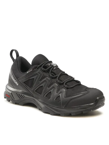 Ботинки X BRAZE GTX L47180400 SALOMON 10 (44,5) Черный L47180400 фото 1 — интернет-магазин Tapok