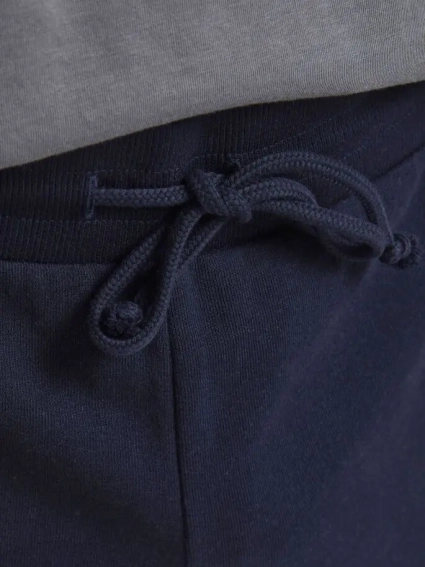 Шорты JJI SHARK JJSWEAT SHORTS AT STS 12182595 Navy Blazer Jack&amp;Jones L Темно-синий 12182595NavyBlazer фото 3 — интернет-магазин Tapok