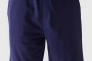Шорти Shorts Cas M284 4FWSS24TSHOM284-31S 4F L Синій 4FWSS24TSHOM284-31S Фото 3