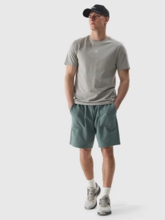 Шорти SHORTS CAS M330 4FWSS24TSHOM330-43S 4F L Фісташковий 4FWSS24TSHOM330-43S
