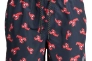 Шорти для плавання JPSTFIJI JJSWIM AOP LY SN 12227247-Navy Blazer Jack&Jones L Темно-синій 12227247-Navy Blazer Фото 5