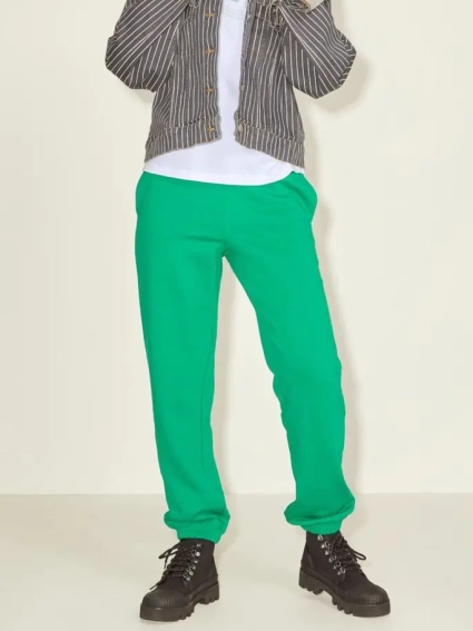 Брюки JXALBERTE REL EVERY PANTS NOOS 12200298-Jolly Green JJXX L Зеленый 12200298-Jolly Green фото 1 — интернет-магазин Tapok