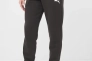 Брюки спортивные ESS Logo Pants TR cl 58671651 Puma 3XL Черный 58671651 Фото 1