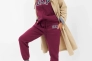 Штани спортивні LOGO JOGGER SWEATPANTS 463492-03 GAP L Бордовий 463492-03 Фото 1