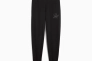 Брюки спортивные SCRIPT Comfort Sweatpants 68498501 Puma L Черный 68498501 Фото 4