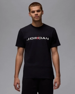 Футболка мужская Jordan Air (IB7353-010)