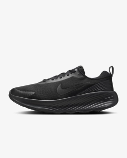 Кроссовки мужские Nike M Promina (FV5285-001)