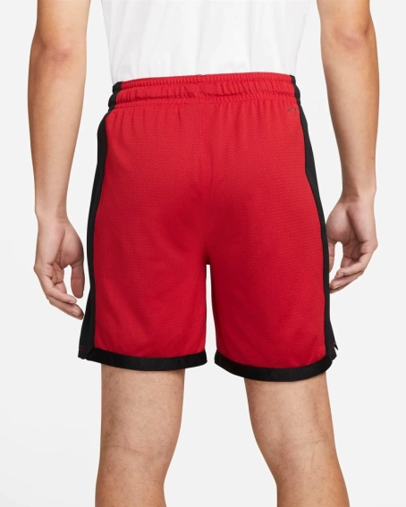 Шорти чоловічі Jordan Sport Dri-Fit (DH9077-687) фото 2 — інтернет-магазин Tapok