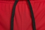 Шорти чоловічі Jordan Sport Dri-Fit (DH9077-687) Фото 3