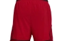 Шорты мужские Jordan Sport Diamond Dri-Fit (FQ2989-687) Фото 3