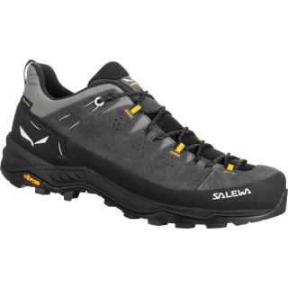 Кроссовки Salewa Alp Trainer 2 GTX Mns 013.001.5978