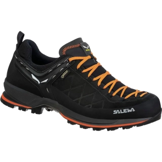 Кроссовки Salewa MS MTN Trainer 2 GTX 013.001.4289