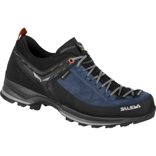 Кроссовки Salewa MS MTN Trainer 2 GTX 013.001.6381