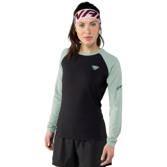 Футболка Dynafit Alpine Pro L/S Tee Wms 016.002.2713 фото 1 — інтернет-магазин Tapok