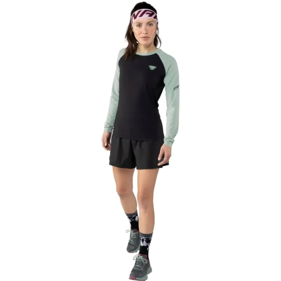 Футболка Dynafit Alpine Pro L/S Tee Wms 016.002.2713 фото 2 — інтернет-магазин Tapok
