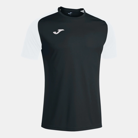 Футболка Joma Academy IV 101968.102 фото 1 — интернет-магазин Tapok