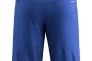 Шорты Salewa Agner DST Mns 013.012.0405 Фото 2