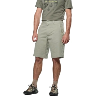 Шорты Salewa Fanes Hemp Light Shotrs Mns 013.012.1266