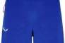 Шорты Salewa Lavaredo Wms 013.002.9216 Фото 2