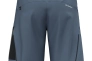 Шорты Salewa Pedroc 3 DST Cargo Mns 013.012.0486 Фото 2