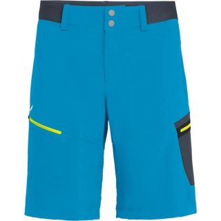 Шорты Salewa Pedroc Cargo 2 013.002.8014