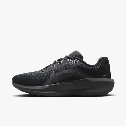 Кросівки чоловічі Nike Air Winflo 11 (FJ9509-002) FJ9509-002 фото 2 — інтернет-магазин Tapok