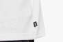 Футболка Nike U NK SB TEE PE SUST FJ1167-100 Фото 3