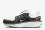 Кросівки Nike Winflo 11 Gore-Tex FQ1358-004 Фото 1