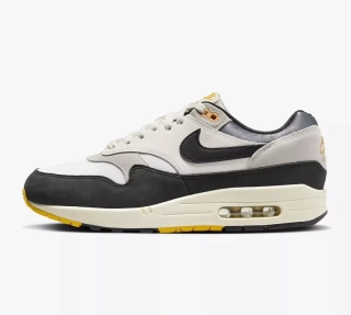 Кроссовки Nike Air Max 1 White/Black FN7487-133