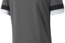 Футболка чоловіча Puma Teamrise Jersey Green 704932-13 Фото 2