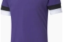 Футболка чоловіча Puma Teamrise Jersey Violet 704932-10 Фото 1