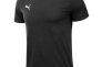 Футболка чоловіча Puma Teamrise Logo Jersey 658701-03 Фото 1