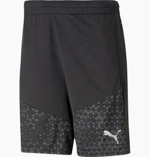 Шорты мужские Puma Shorts Teamcup Trainingsshor 657993-03