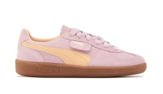 Кроссовки унисекс Puma Palermo 396463 06