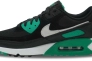Кросівки чоловічі Nike Air Max 90 Black DM0029-006 Фото 1
