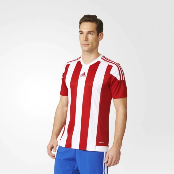 Футболка Adidas STRIPED 15 JSY S16137 фото 1 — интернет-магазин Tapok