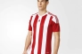 Футболка Adidas STRIPED 15 JSY S16137 Фото 1