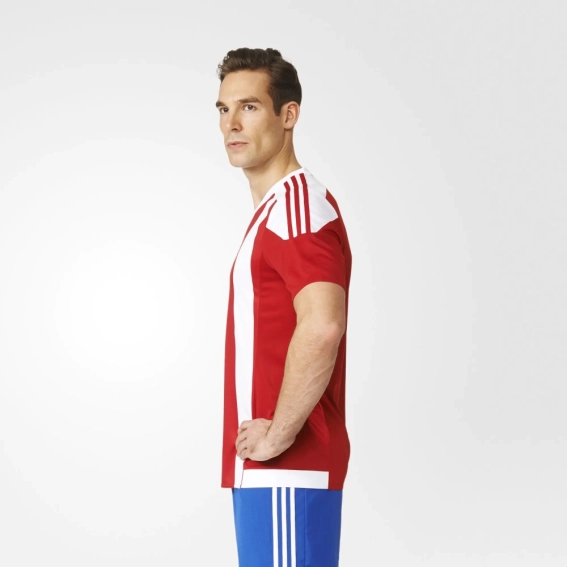 Футболка Adidas STRIPED 15 JSY S16137 фото 2 — интернет-магазин Tapok