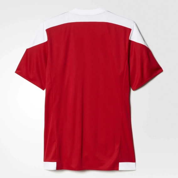 Футболка Adidas STRIPED 15 JSY S16137 фото 5 — интернет-магазин Tapok