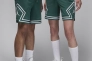 Шорти чоловічі Air Jordan Dri-Fit Sport Diamond Green DX1487-366 Фото 1