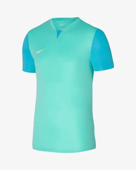 Футболка Nike Dri Fit Trophy 5 DR0942-354 фото 1 — интернет-магазин Tapok