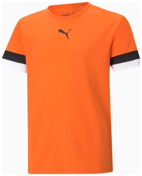 Футболка Puma teamRISE Jersey Jr оранжевый Дет 116 см 704938-08 фото 1 — интернет-магазин Tapok