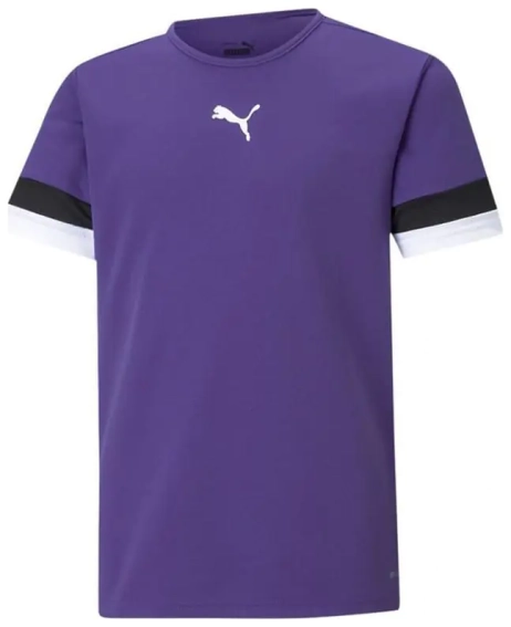 Футболка Puma teamRISE Jersey Jr фіолетовий Діт 116 см 704938-10 фото 1 — інтернет-магазин Tapok
