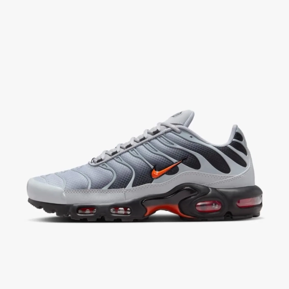Кроссовки Nike AIR MAX PLUS DM0032-011 фото 1 — интернет-магазин Tapok