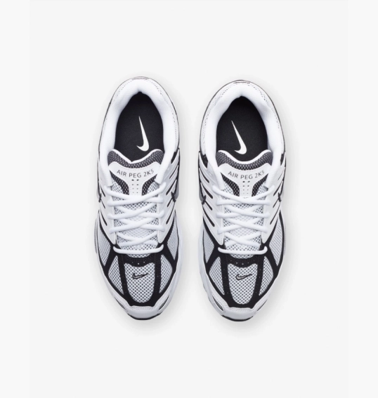 Кроссовки мужские Nike Air Pegasus 2005 White/Grey FJ1909-100 фото 5 — интернет-магазин Tapok