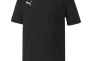 Футболка дитяча PUMA TeamGoal Casual 656709-03, Цвет Чёрный, Размер (Европа) - 128cm 656709-03 Фото 1