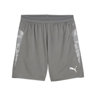 Шорты PUMA teamCUP 659171-13, Цвет Серый, Размер (Европа) - L 659171-13