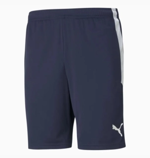 Шорты Puma Teamliga Training Shorts Blue 657249-06, Цвет Синий, Размер (Европа) - L 657249-06