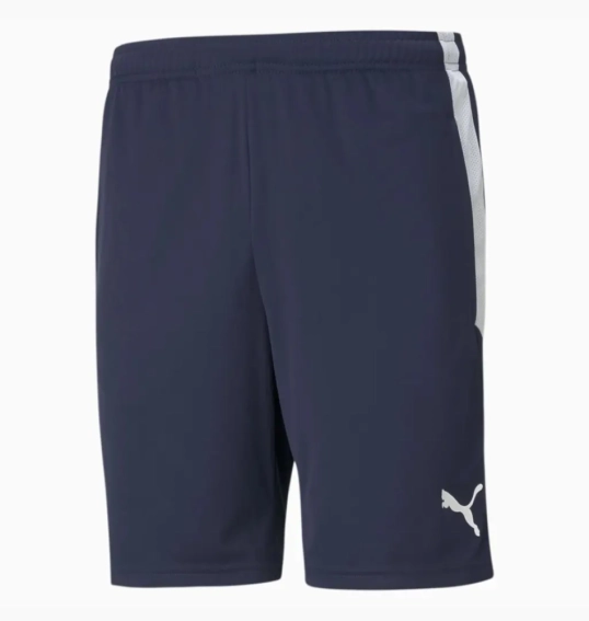 Шорти Puma Teamliga Training Shorts Blue 657249-06, Цвет Синий, Размер (Европа) - L 657249-06 фото 1 — інтернет-магазин Tapok